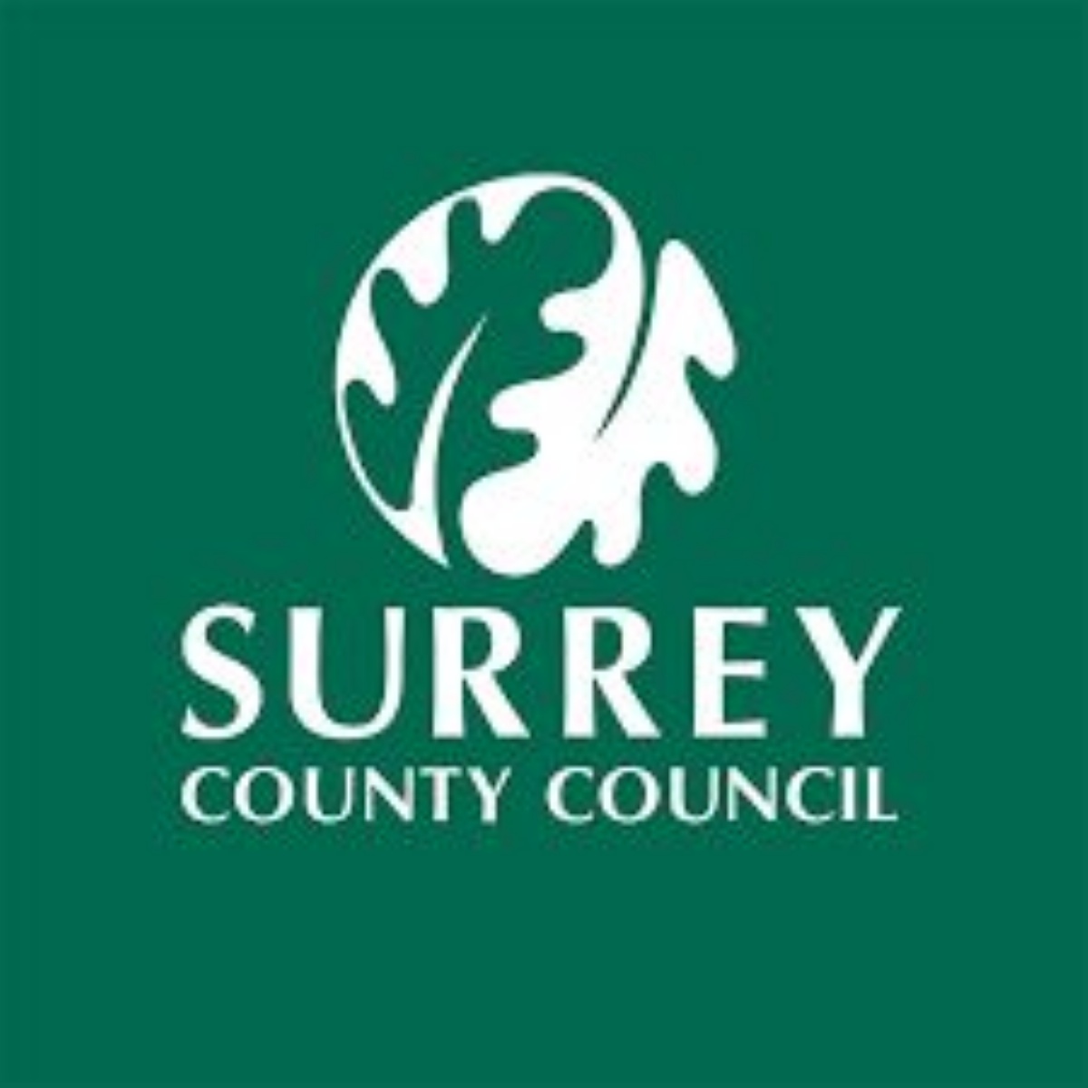 Crawley Ridge Infant School Applying For Reception And Year 3 Places crawley-ridge-infant-school-applying-for-reception-and-year-3-places